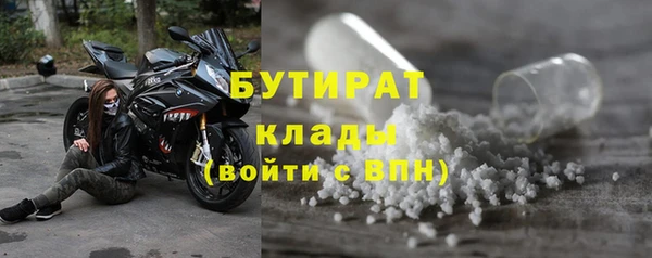 прущие грибы Абинск