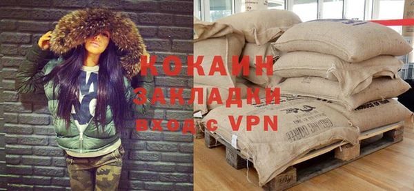 прущие грибы Абинск