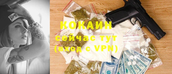 прущие грибы Абинск