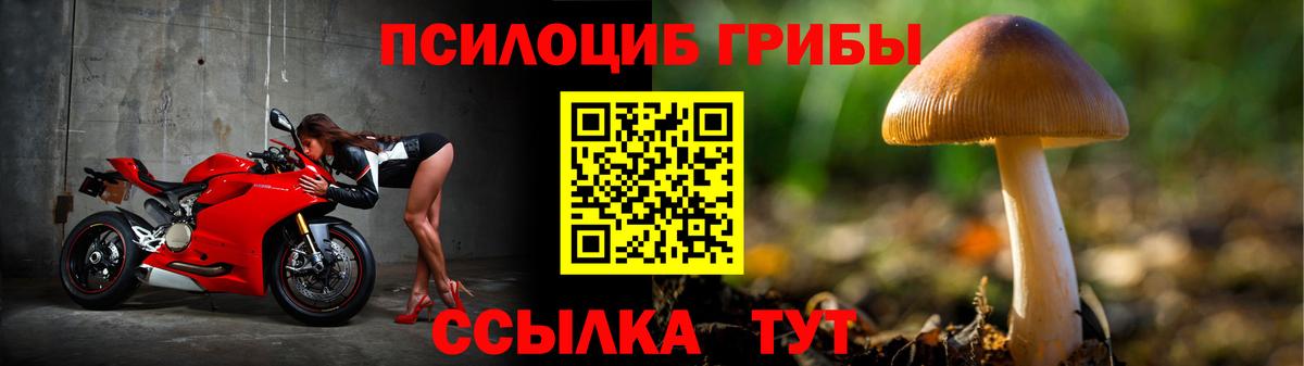 Алатырь  Псилоцибиновые грибы MAGIC MUSHROOMS  Галлюциногенные грибы Psilocybe  Вход с VPN 