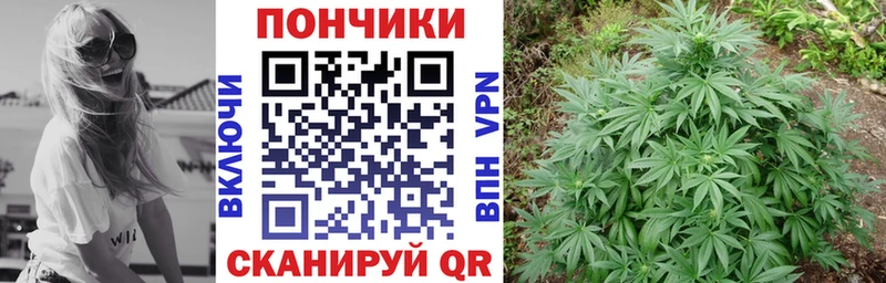 где найти наркотики  Алатырь  МАРИХУАНА OG Kush 